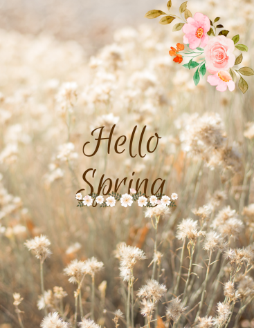 Hello Spring!