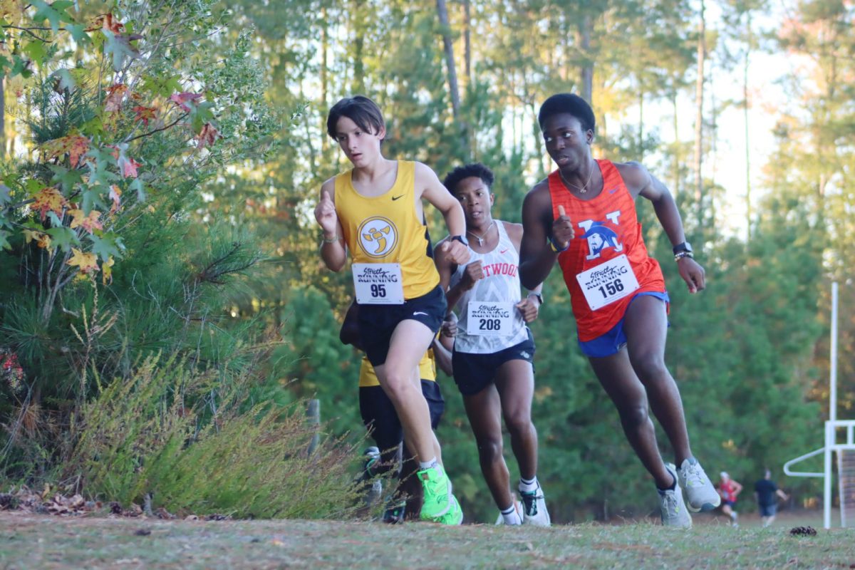 RNE Cross Country smashes records at Regions