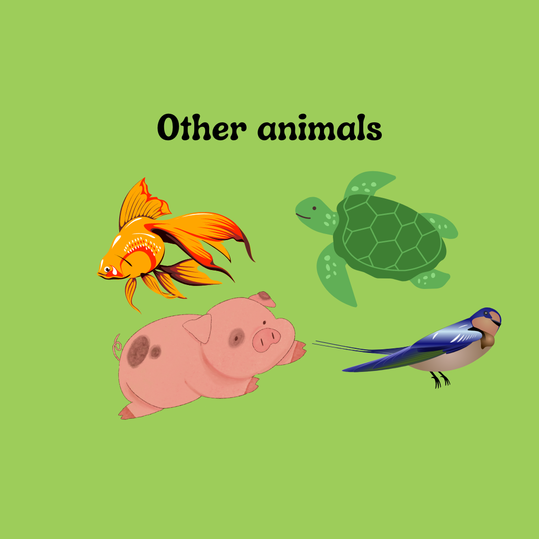 Other Animals