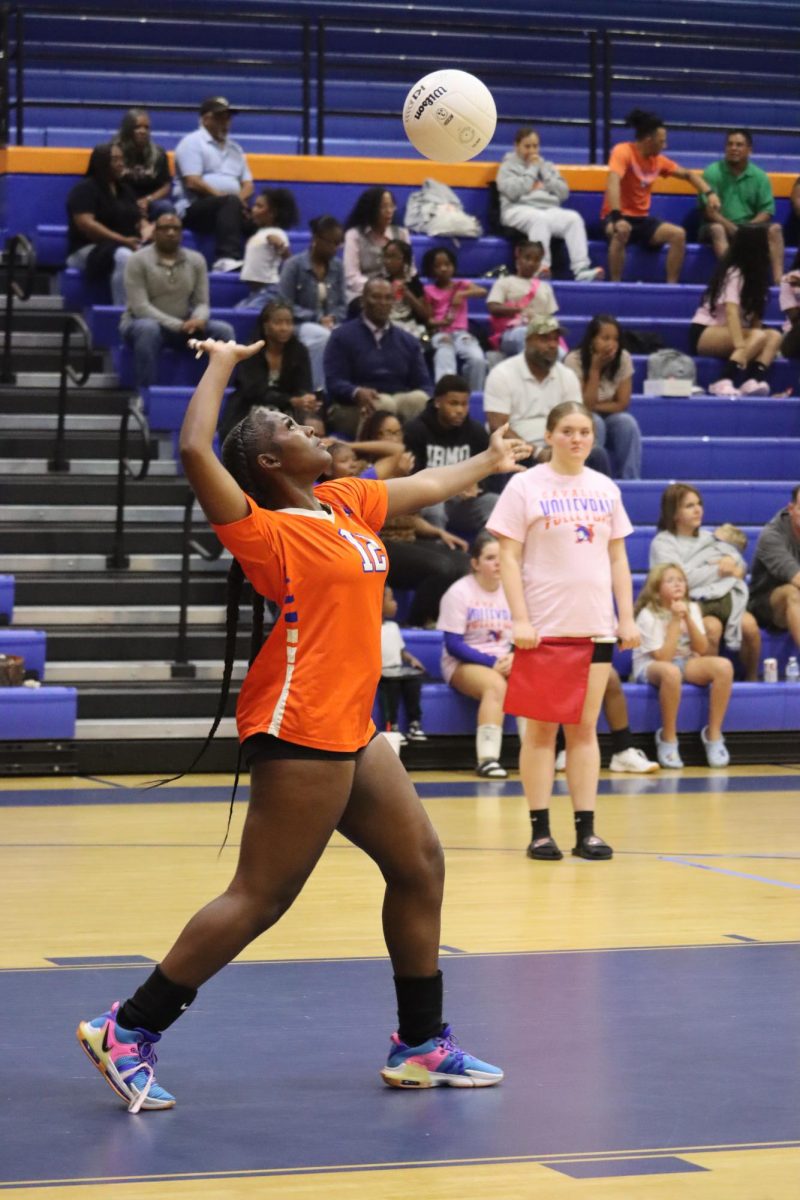 Meagan Reese (Senior)
